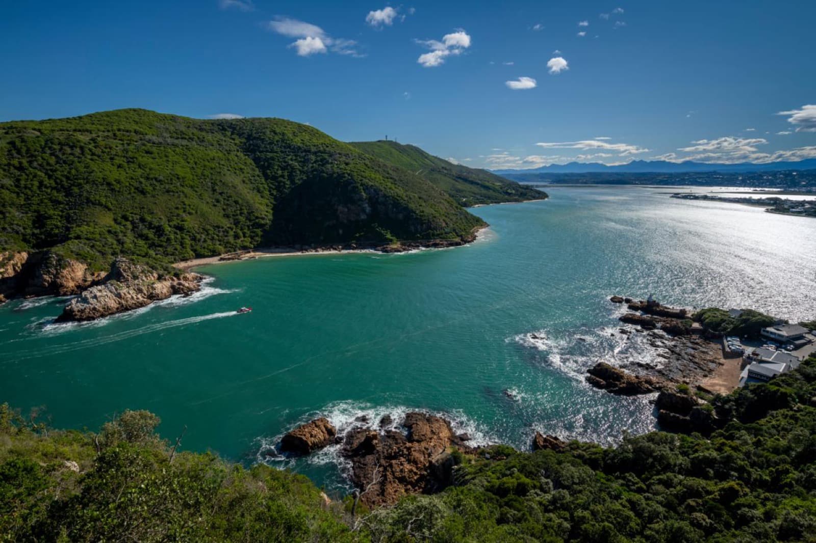 Cape Peninsula & Chapman's Peak