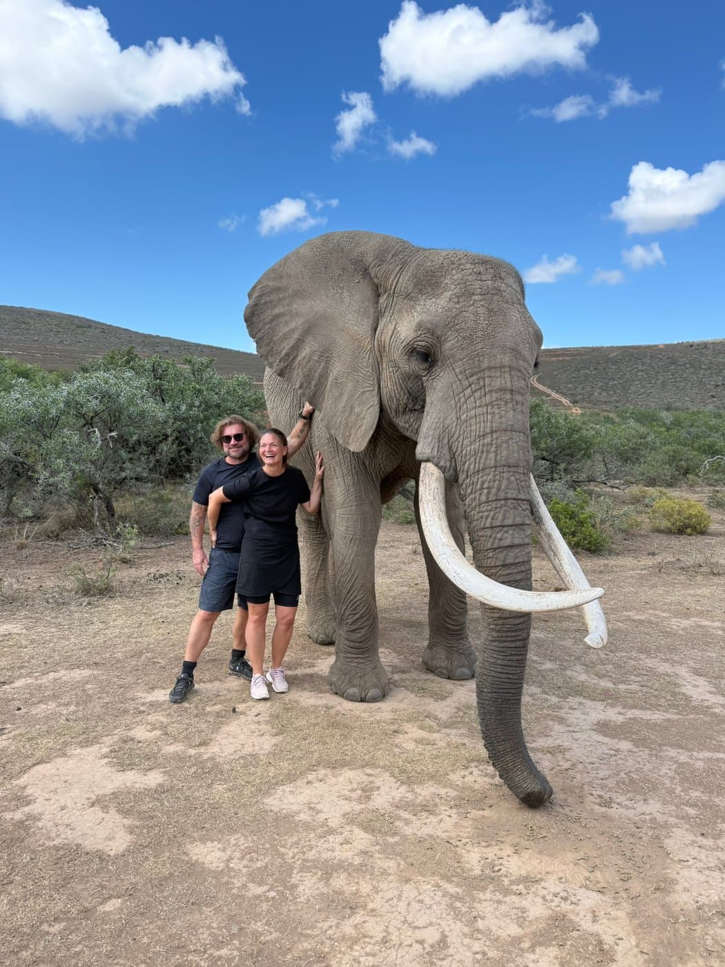 Walking with Elephants