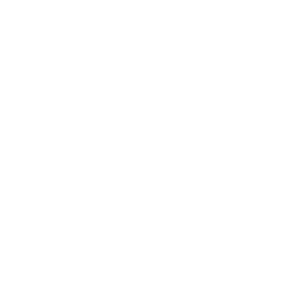 Enduro Action Team — Certified Instructor
