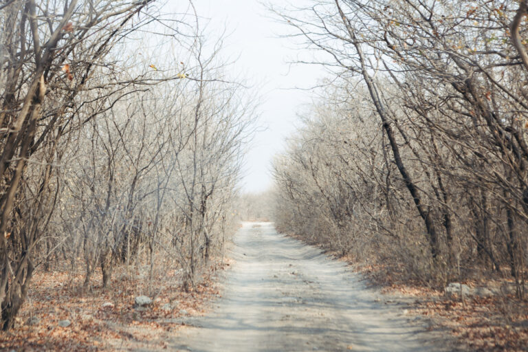 MuddyfaceTour - Maun-213