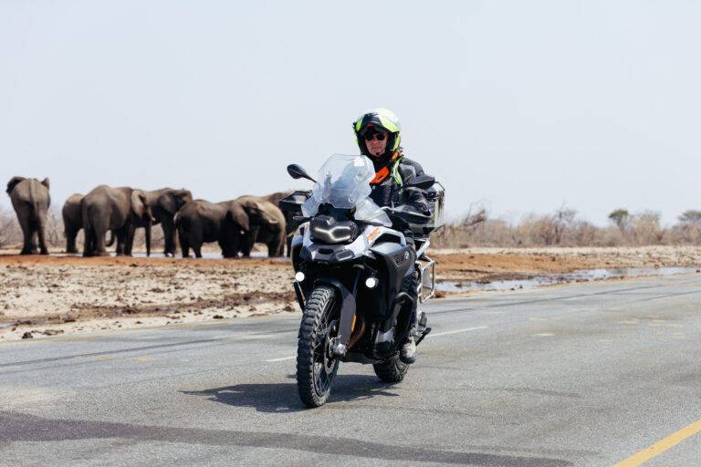 MuddyfaceTour - Maun-72