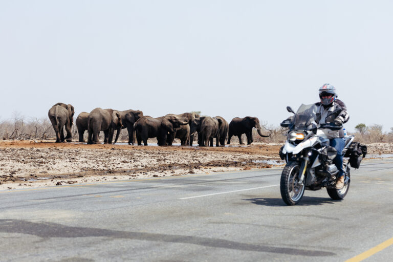 MuddyfaceTour - Maun-74