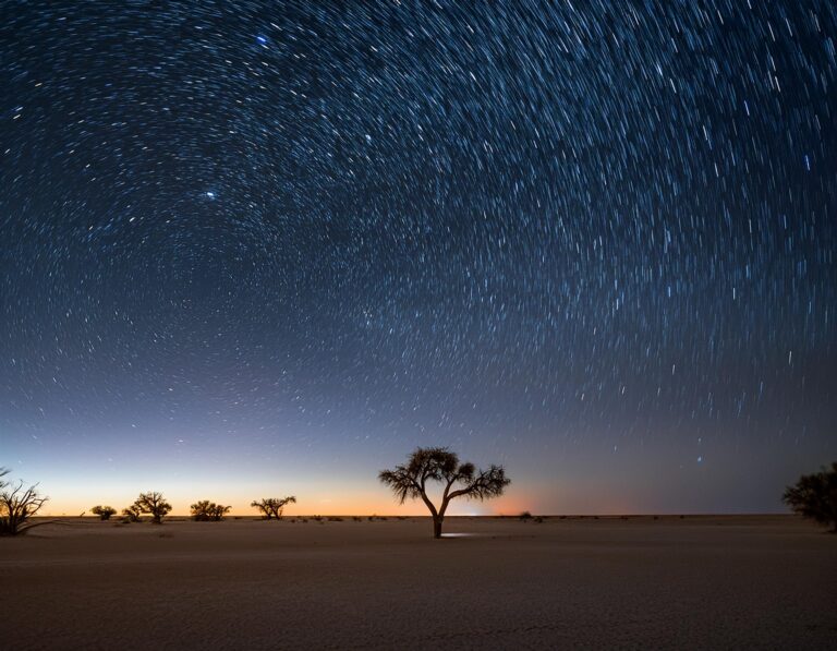 STAR GAZING ON THE PANS