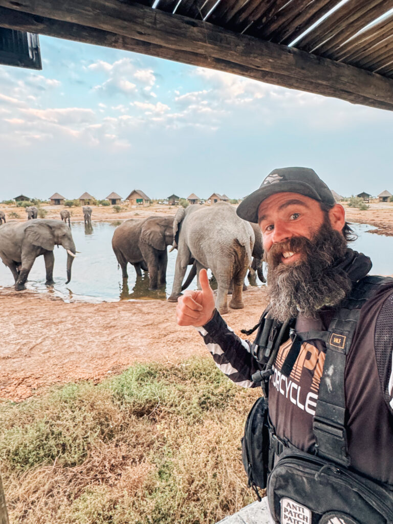 UP CLOSE WITH THE ELEPHANTS